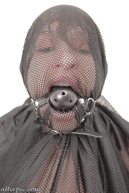 alterpic-GaggedinBag